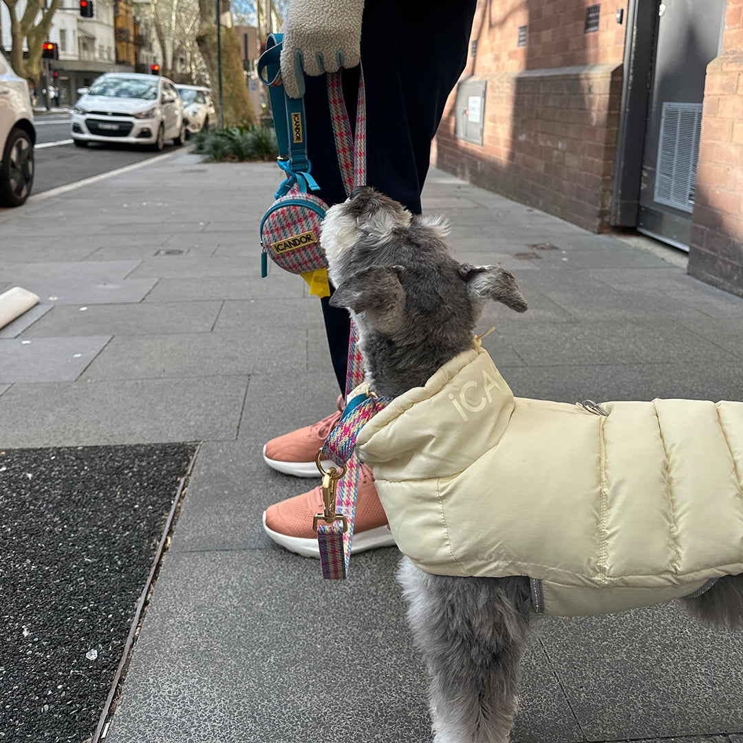 サーモ3、アドベンチャーパーカー_クリーミーバター