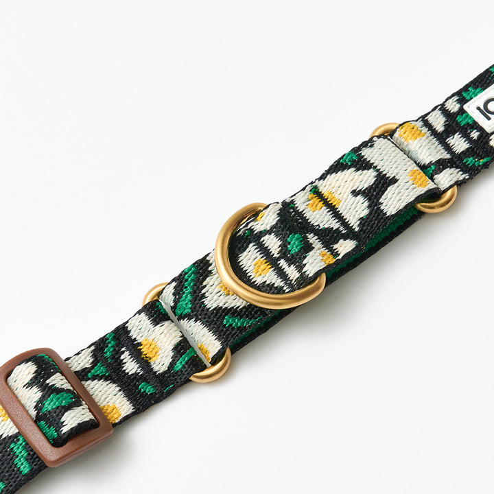 Martingale Collar, Buckle_Big Fish