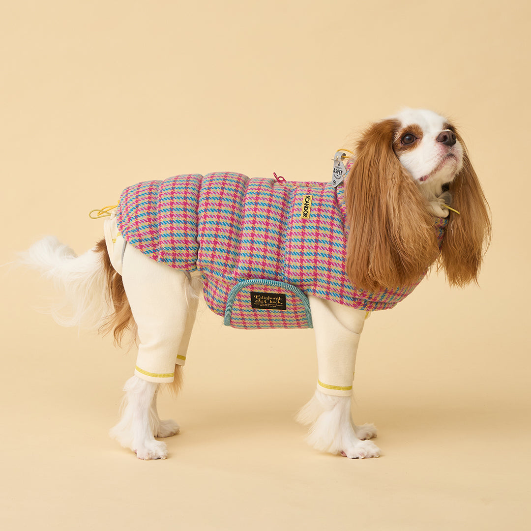 サーモ3、エディンバラチェック_キャンディタータン