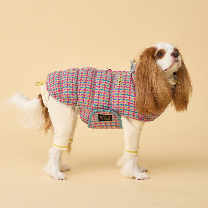 サーモ3、エディンバラチェック_キャンディタータン