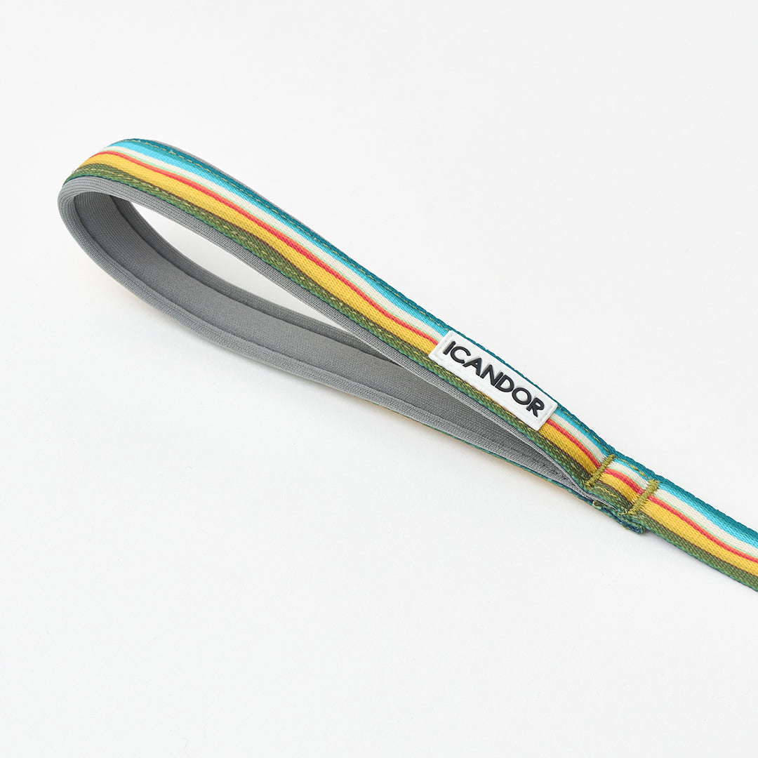 ジェントルリーシュボルト 1.6m(15mm)_エディンバラチェック