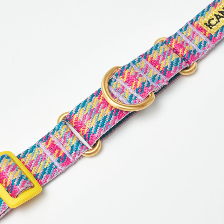 Martingale Collar, Buckle_Edinburgh Check