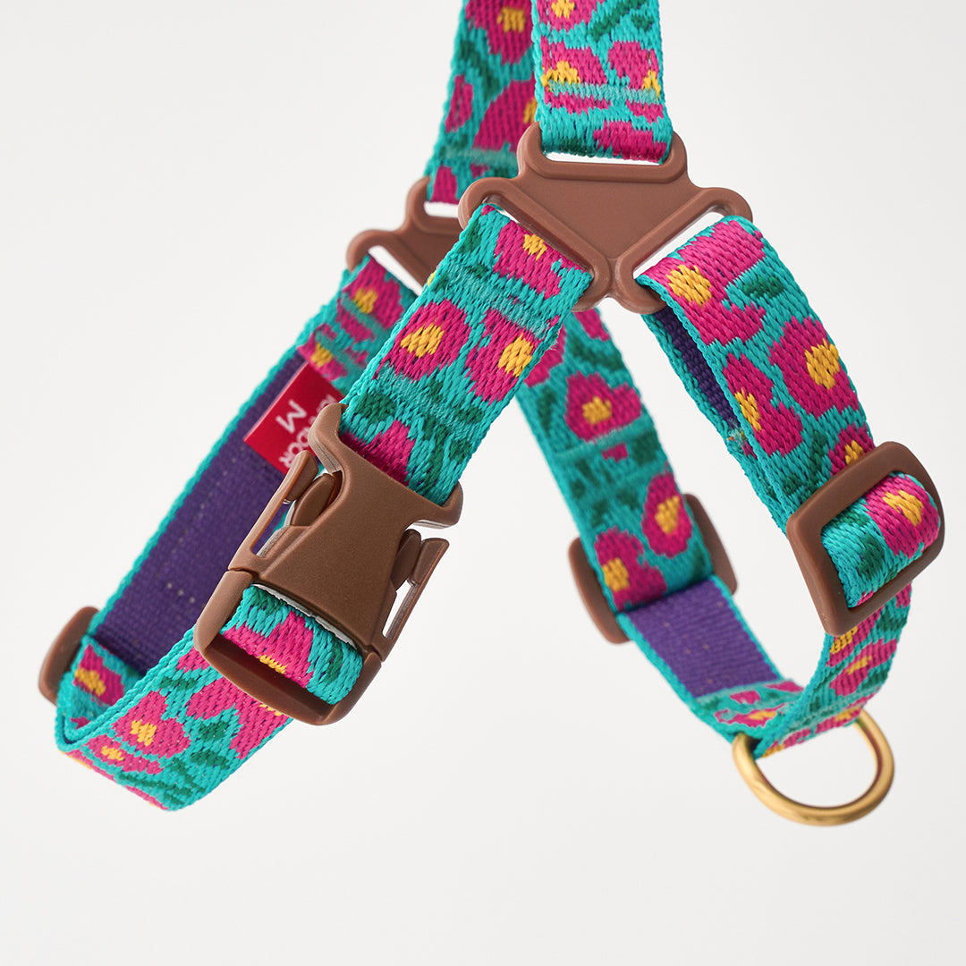 No-Pull Harness_Big Fish Mint