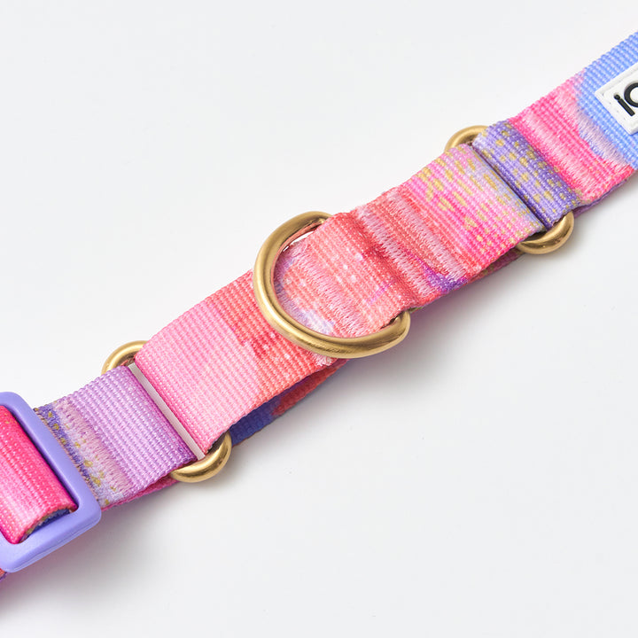 Martingale Collar, Buckle_Milky Way