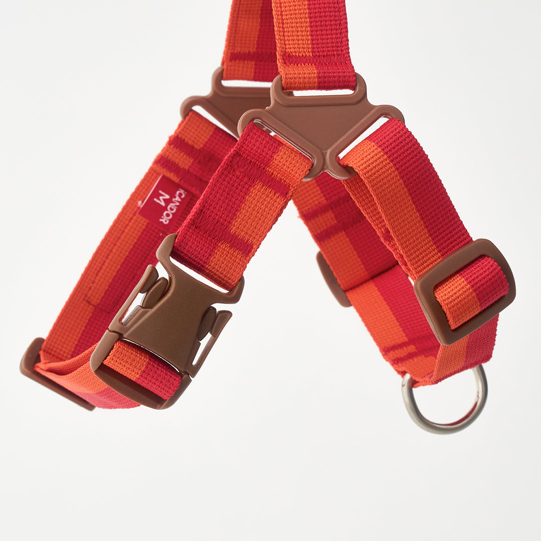 No-Pull Harness_Sunset