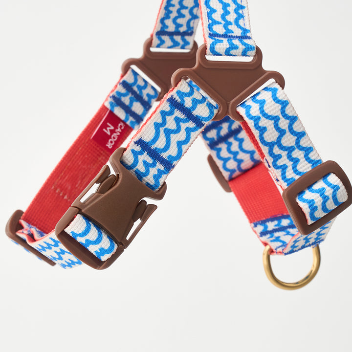 No-Pull Harness_Surfrider