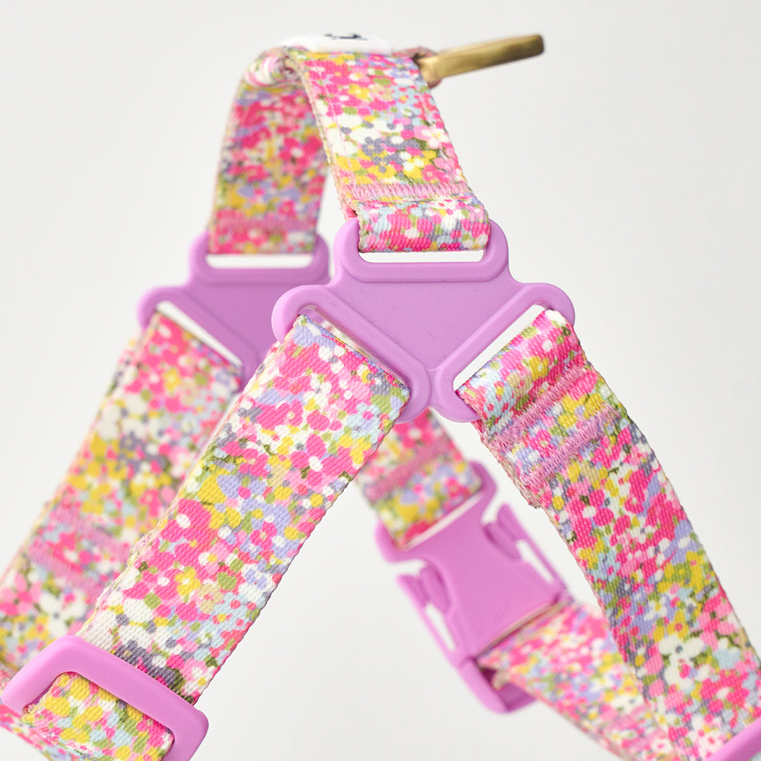 No-Pull Harness_Flora