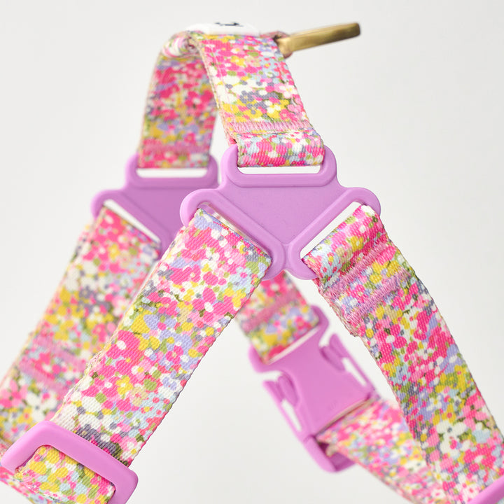 No-Pull Harness_Flora