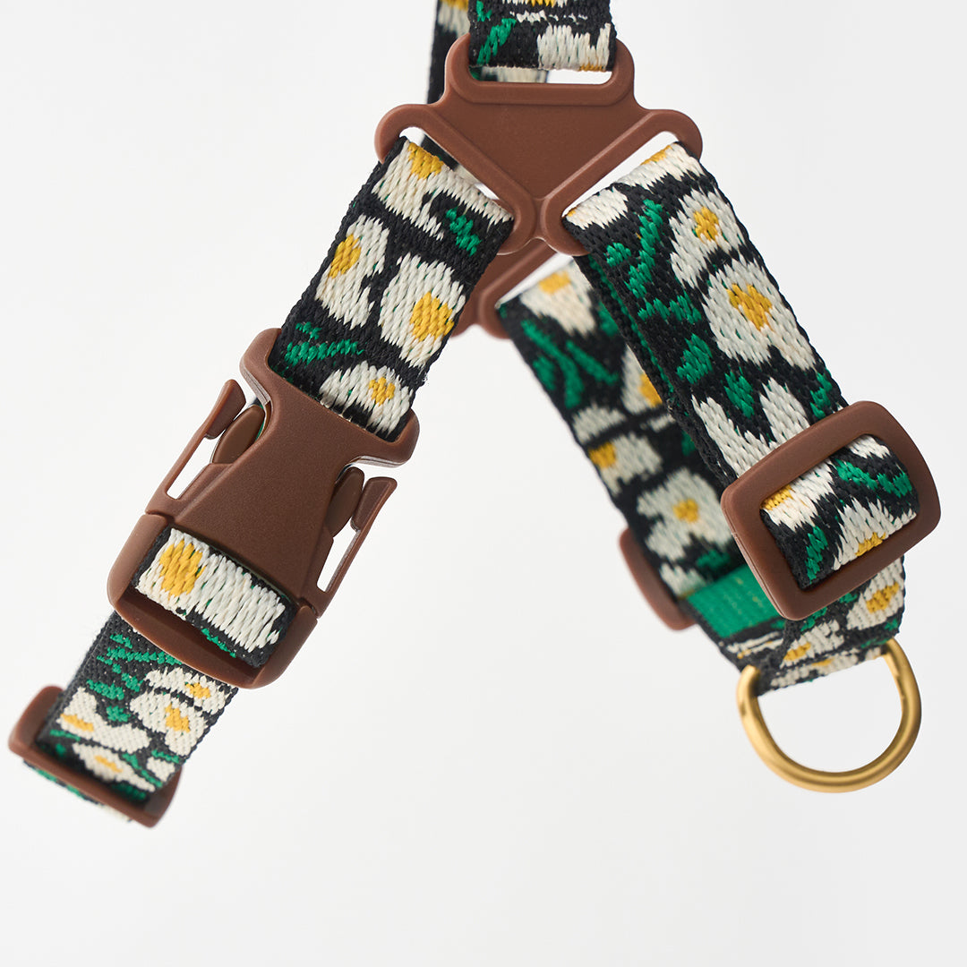 No-Pull Harness_Big Fish