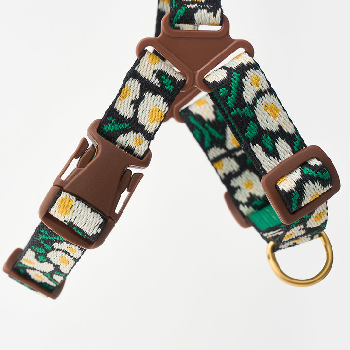 No-Pull Harness_Big Fish