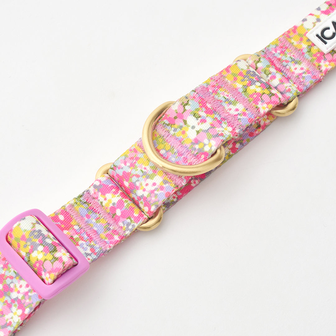 Martingale Collar, Buckle_Flora