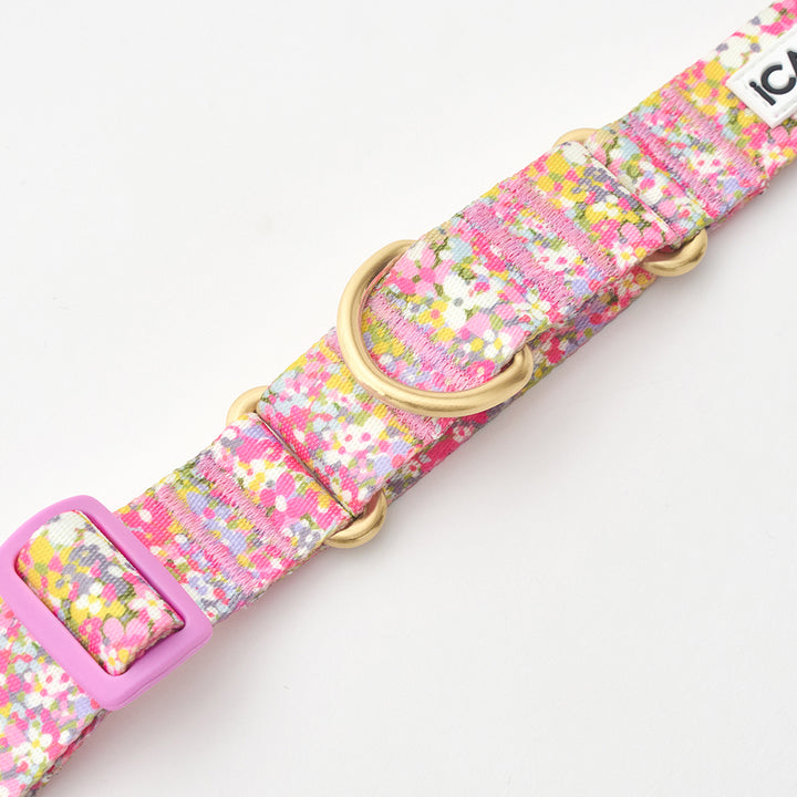 Martingale Collar, Buckle_Flora