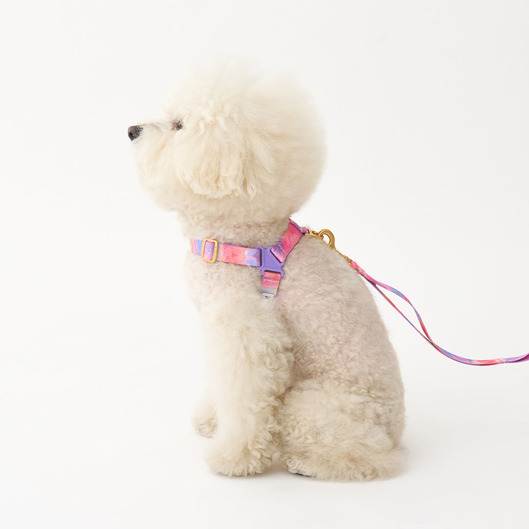 No-Pull Harness_Milky Way