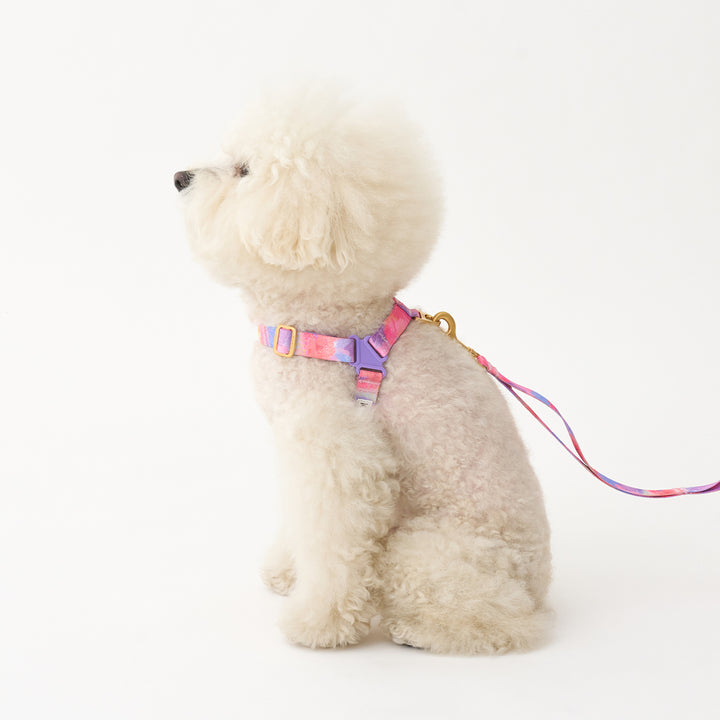 No-Pull Harness_Milky Way