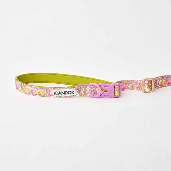 Gentle Leash Bolt, Long_Flora