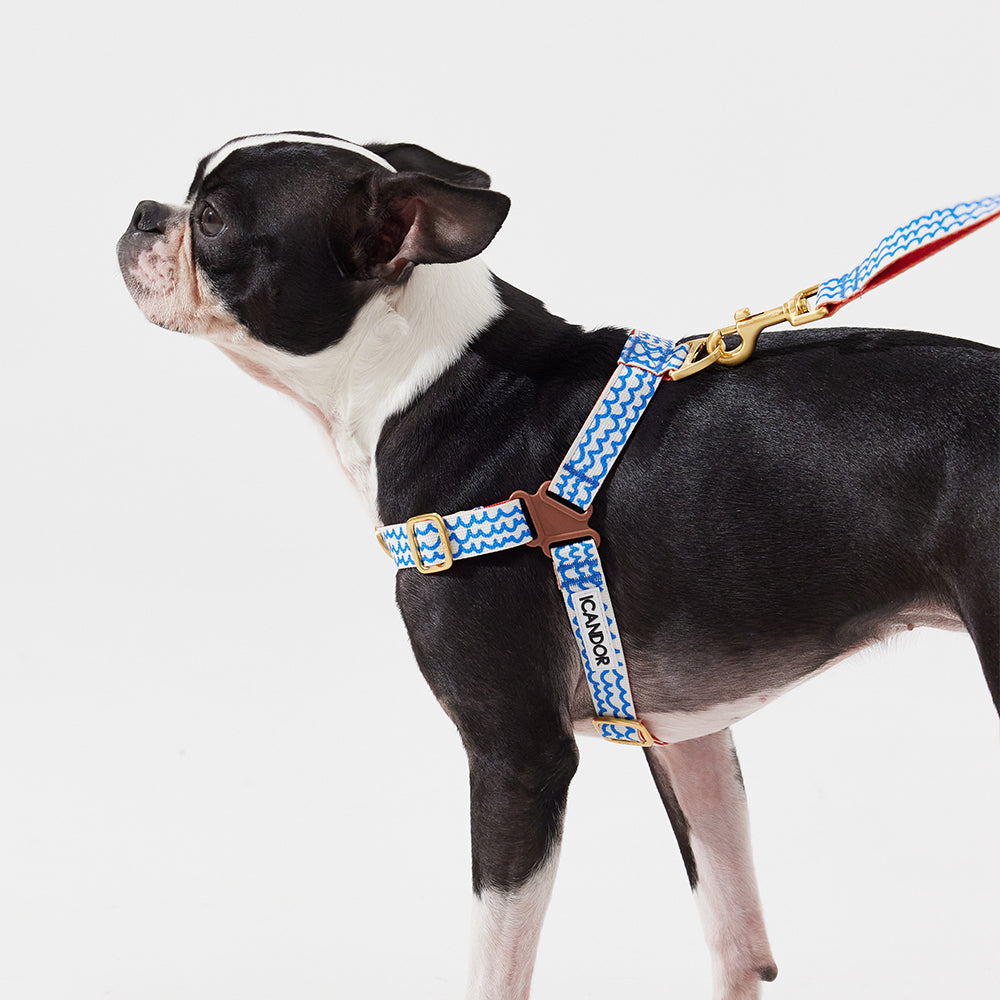 No-Pull Harness_Surfrider