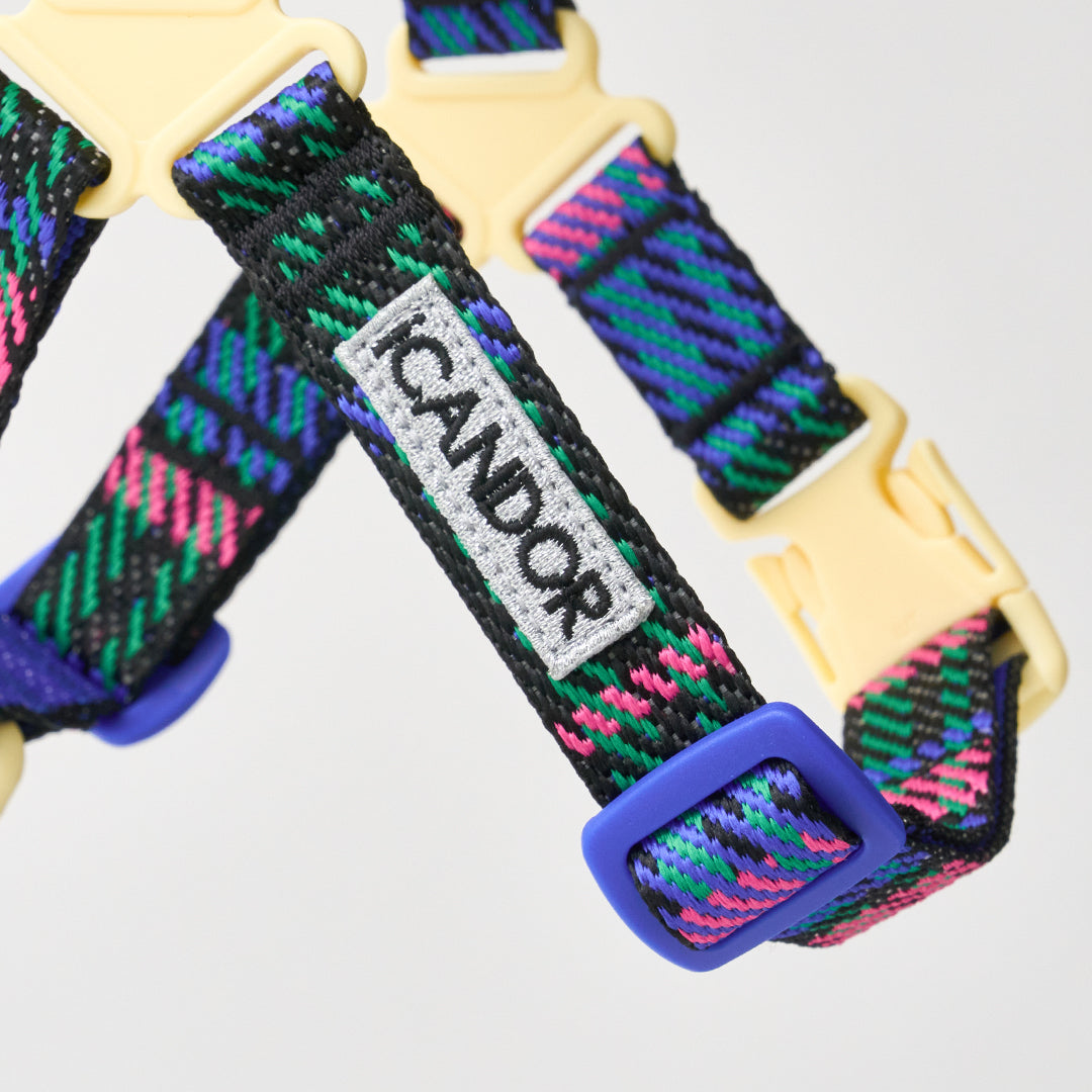 No-Pull Harness_Urban Checks