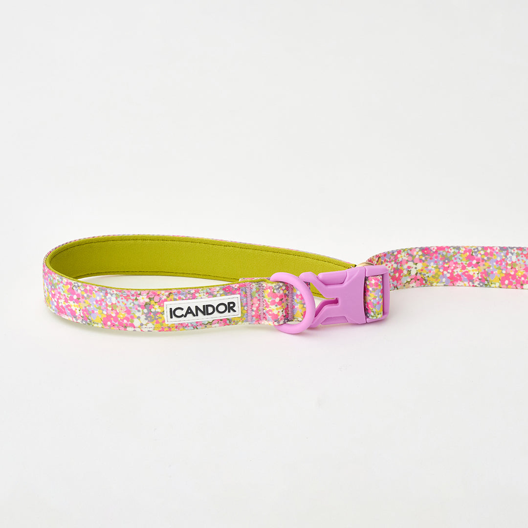 Gentle Leash Bolt_Flora