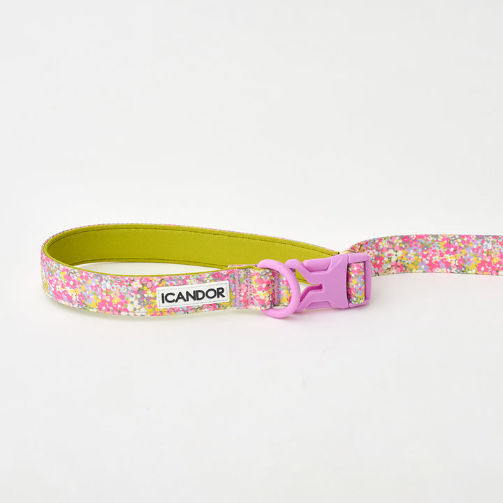 Gentle Leash Bolt_Flora