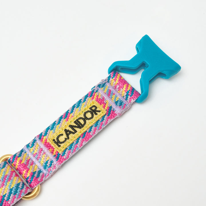 Martingale Collar, Buckle_Edinburgh Check