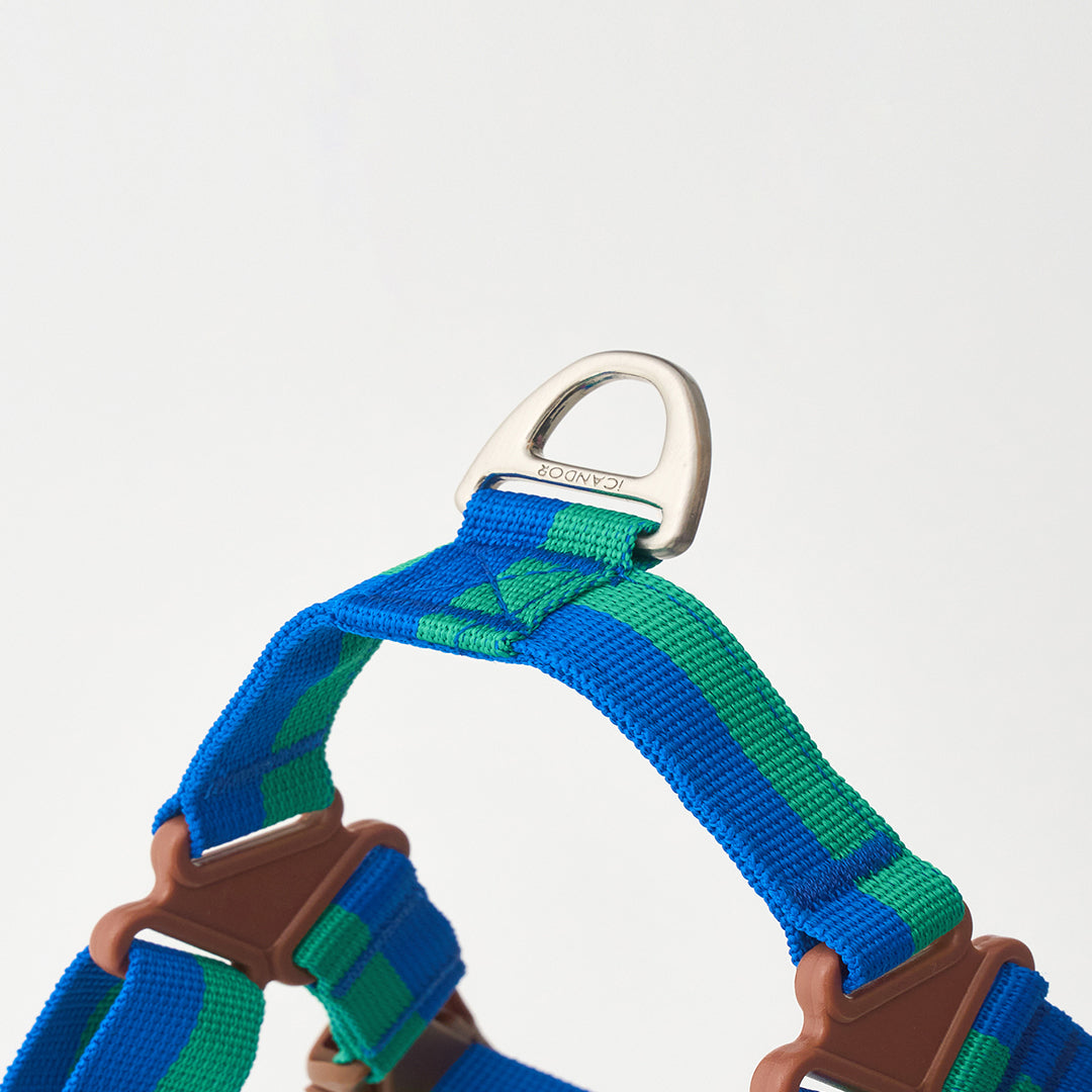 No-Pull Harness_Forest