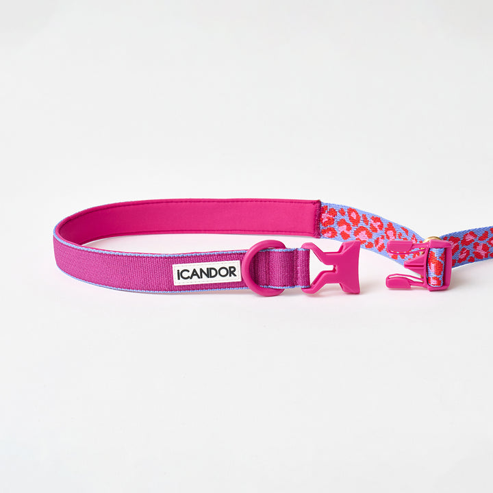 Gentle Leash Bolt_Flora