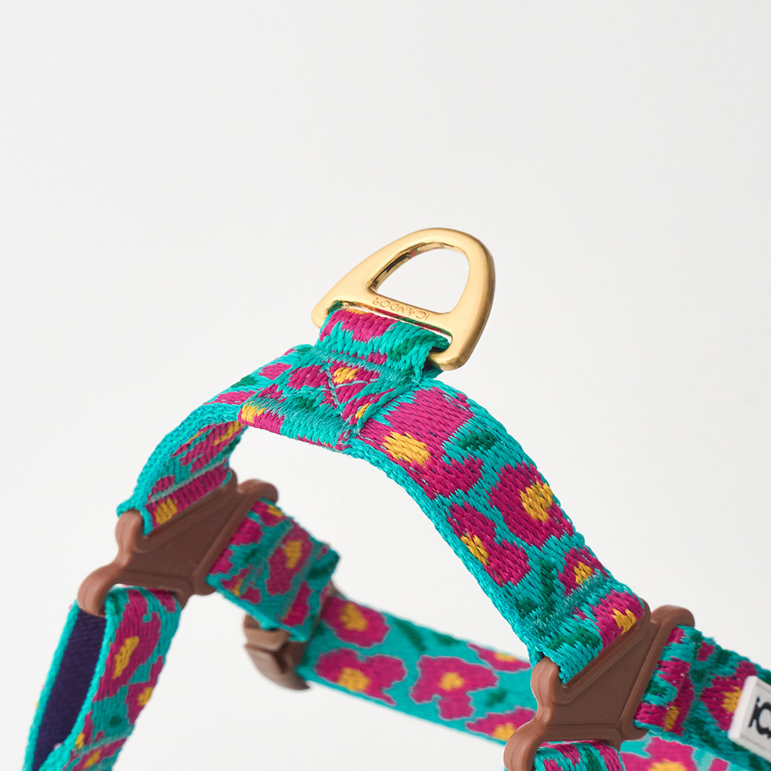 No-Pull Harness_Big Fish Mint