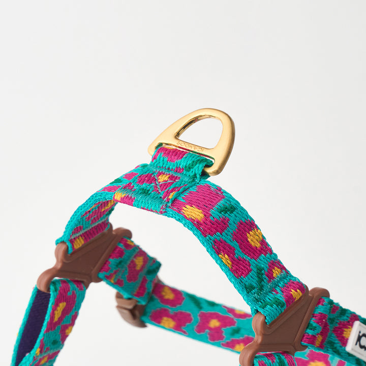 No-Pull Harness_Big Fish Mint