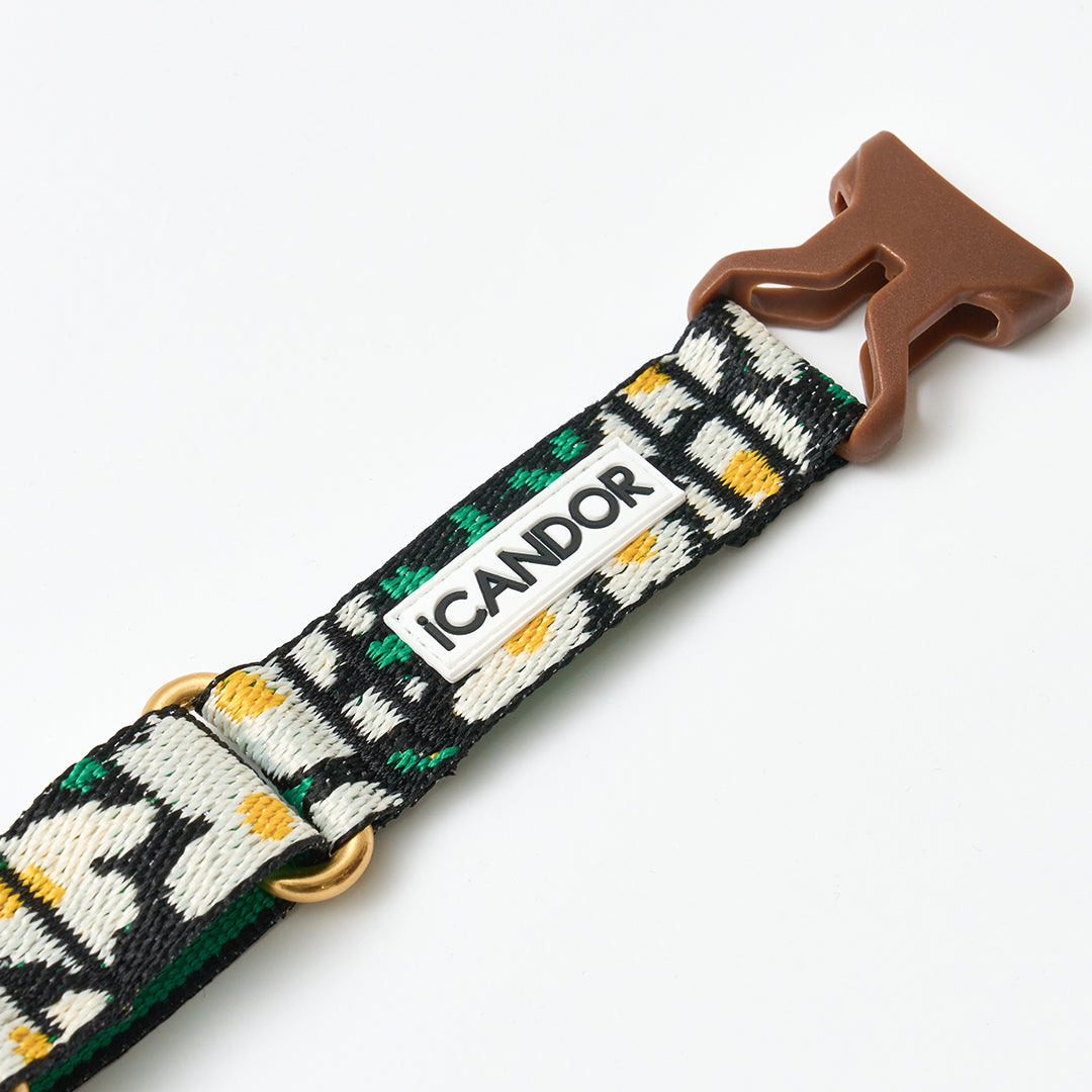Martingale Collar, Buckle_Big Fish
