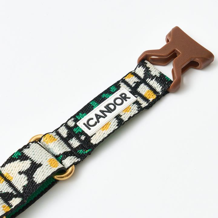 Martingale Collar, Buckle_Big Fish