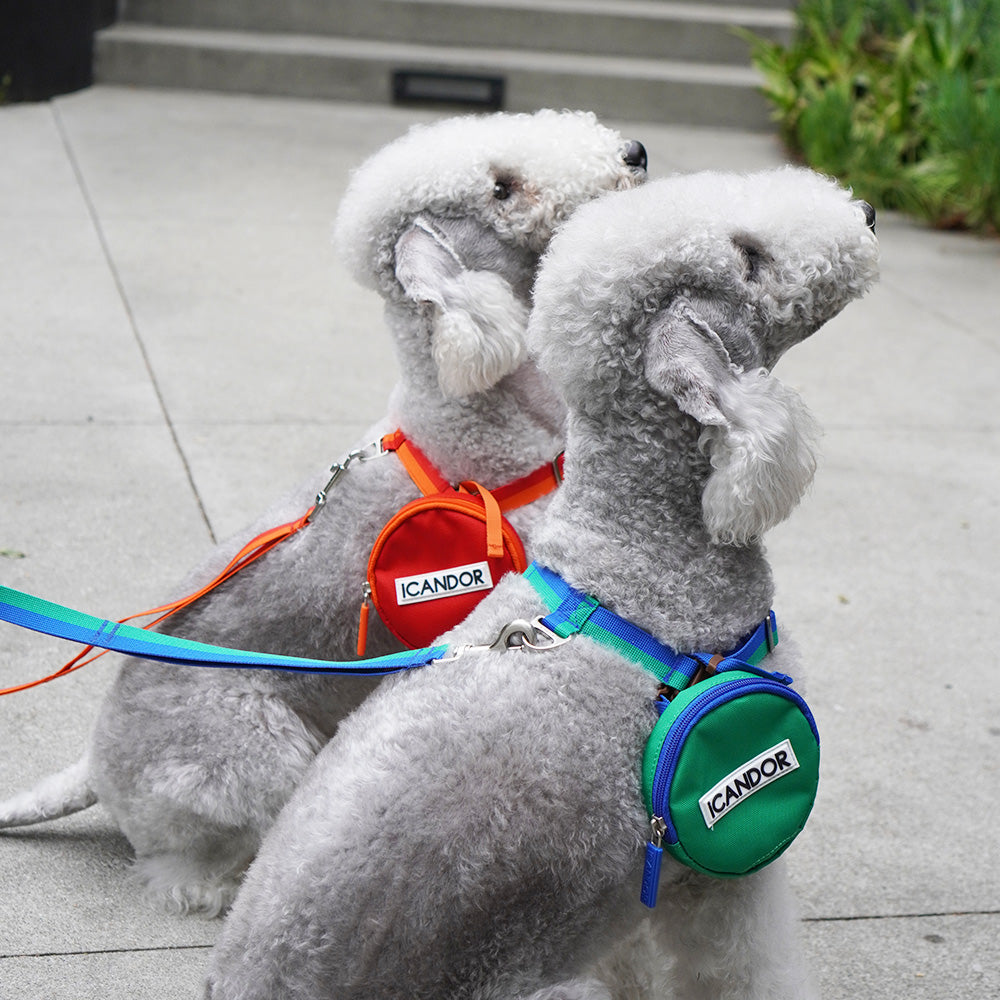 No-Pull Harness_Forest