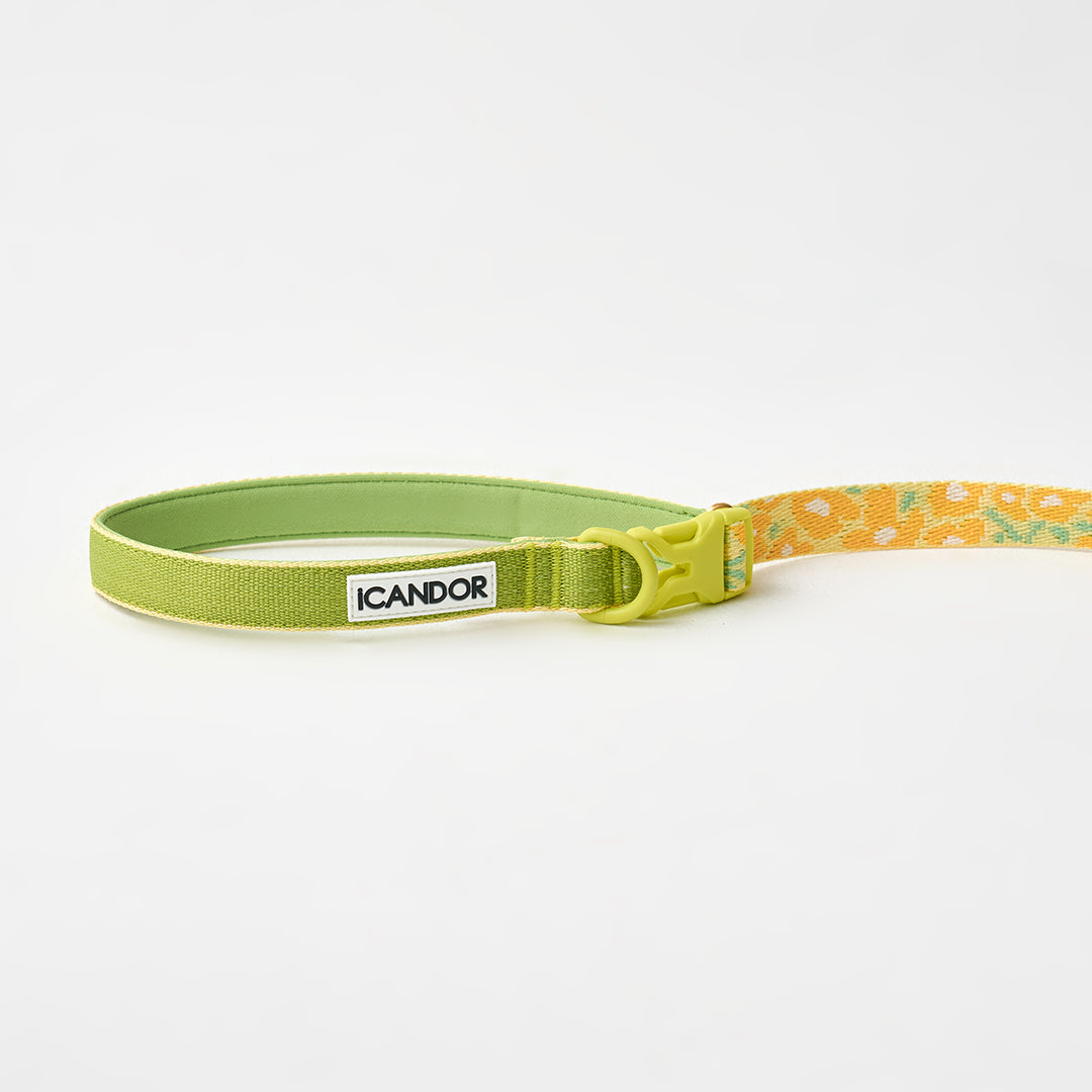 Gentle Leash Bolt, Long_Big Fish Yellow