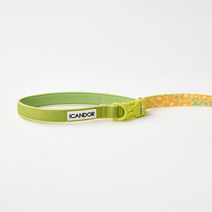 Gentle Leash Bolt, Long_Big Fish Yellow