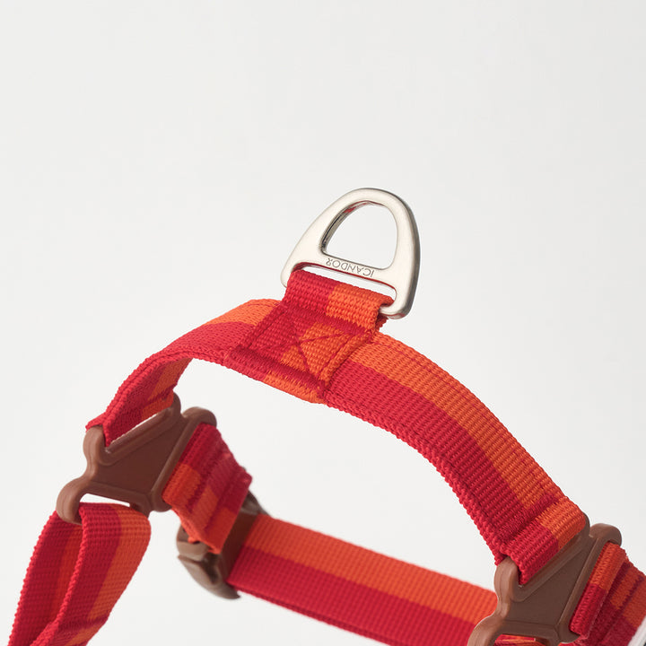 No-Pull Harness_Sunset