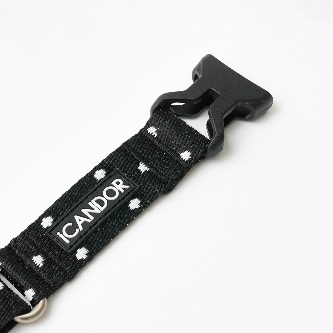Martingale Collar, Buckle_Polka Dot