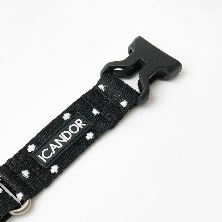 Martingale Collar, Buckle_Polka Dot