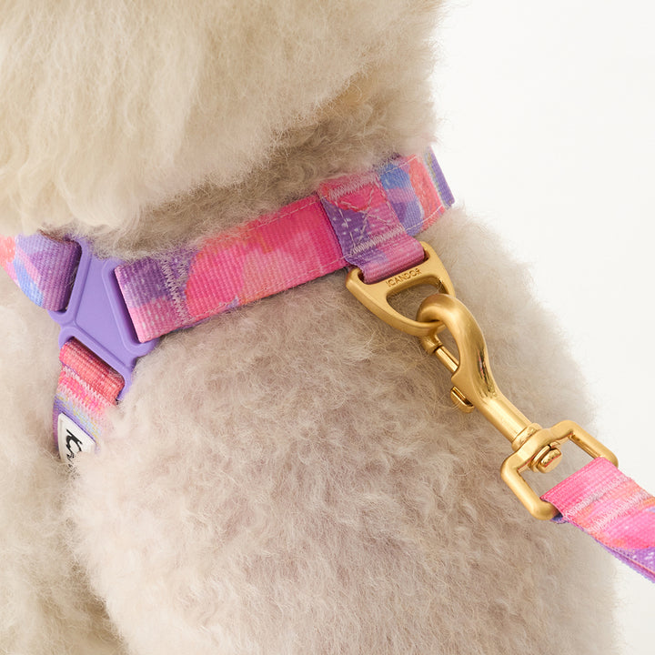 No-Pull Harness_Milky Way