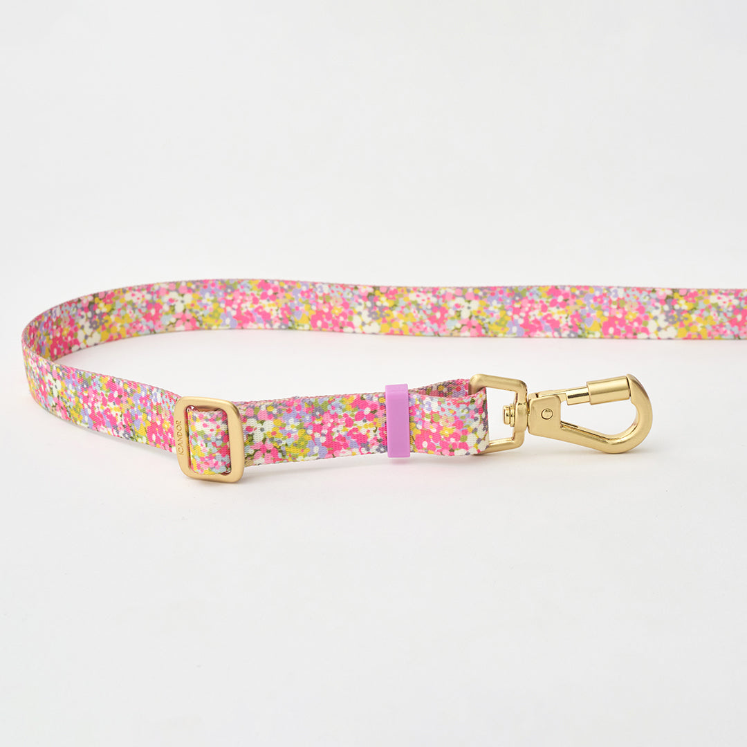Gentle Leash Bolt, Long_Flora