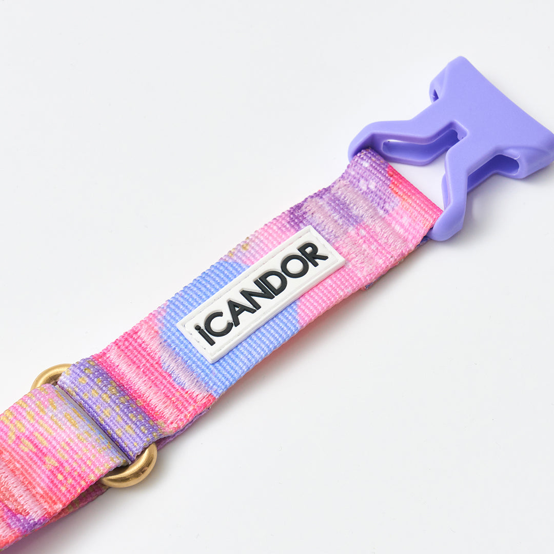 Martingale Collar, Buckle_Milky Way