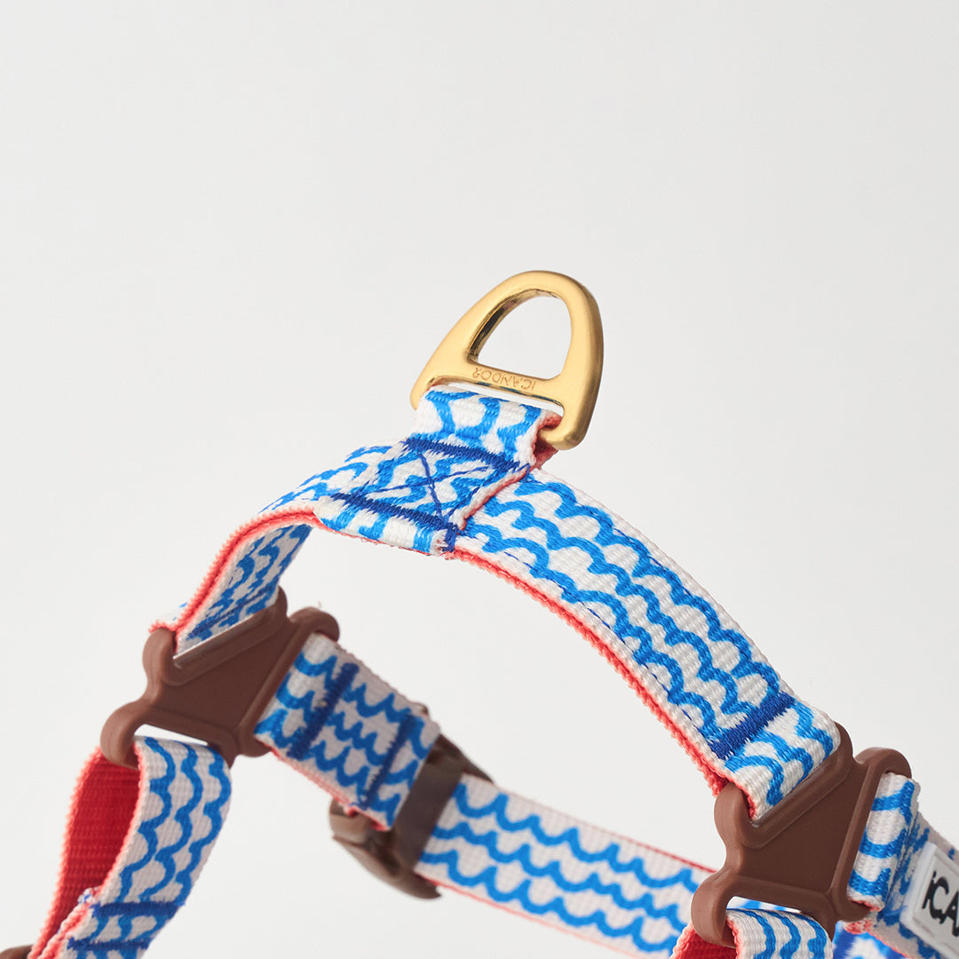 No-Pull Harness_Surfrider