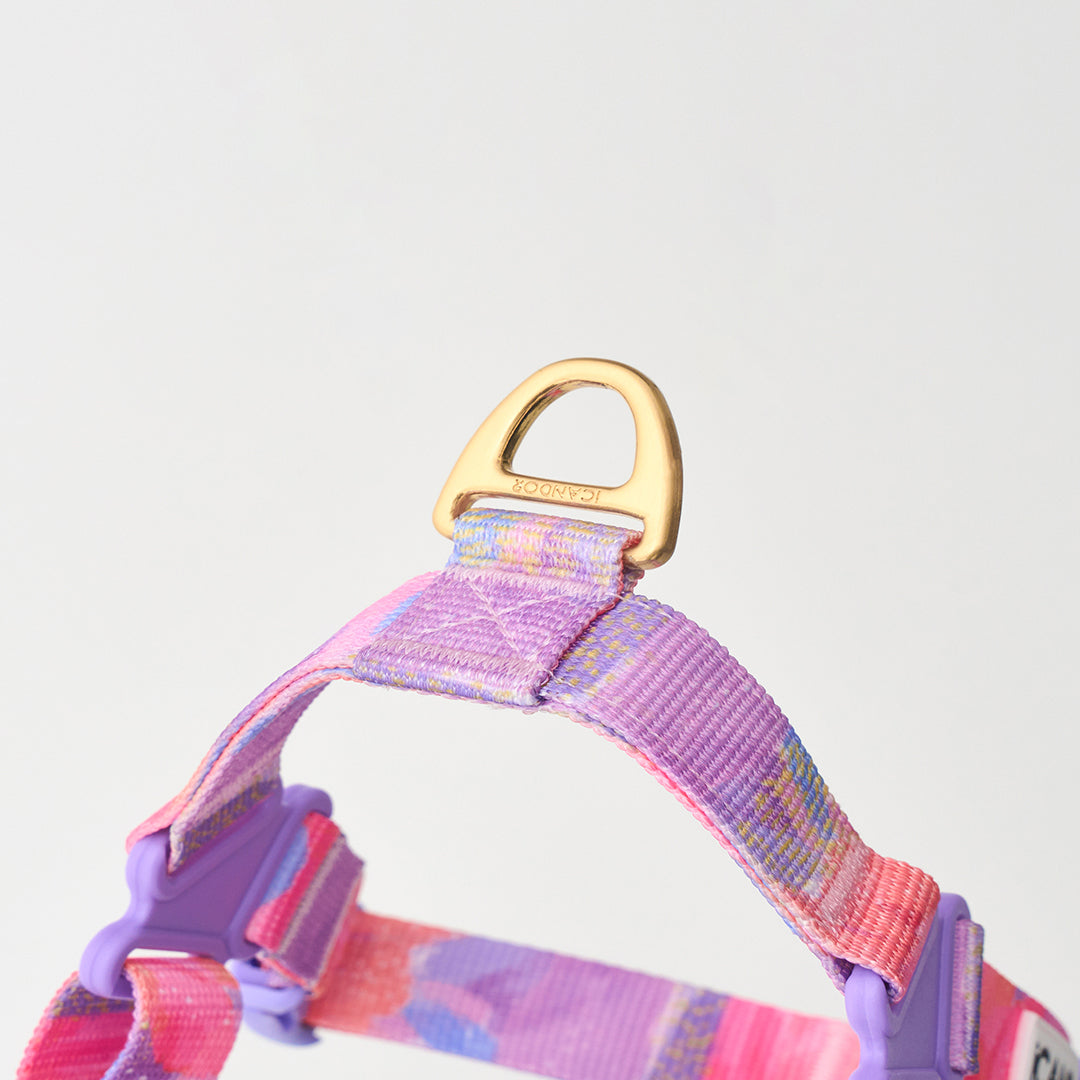 No-Pull Harness_Milky Way