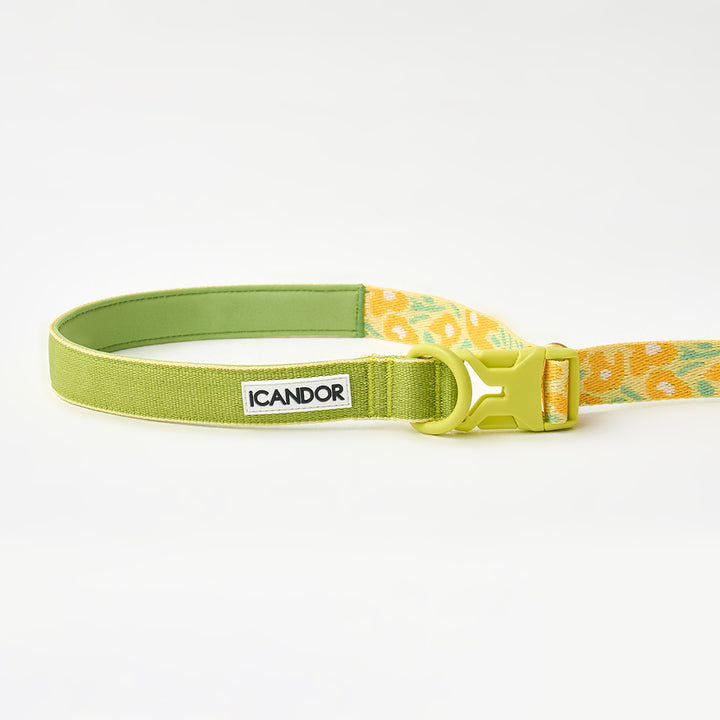 Gentle Leash Bolt_Big Fish Yellow