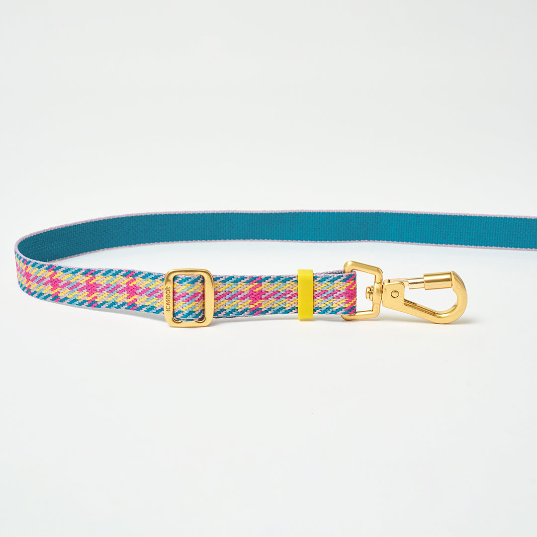 Gentle Leash Bolt, Long_Edinburgh Check