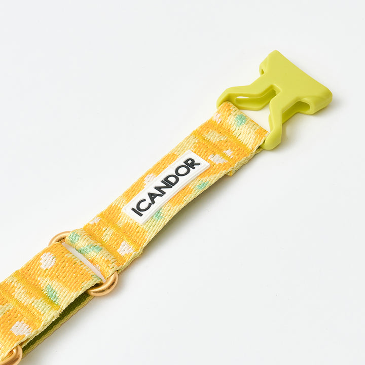 Martingale Collar, Buckle_Big Fish Yellow