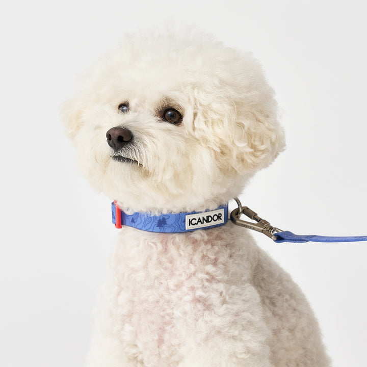 Capri Waterproof Collar_Outback