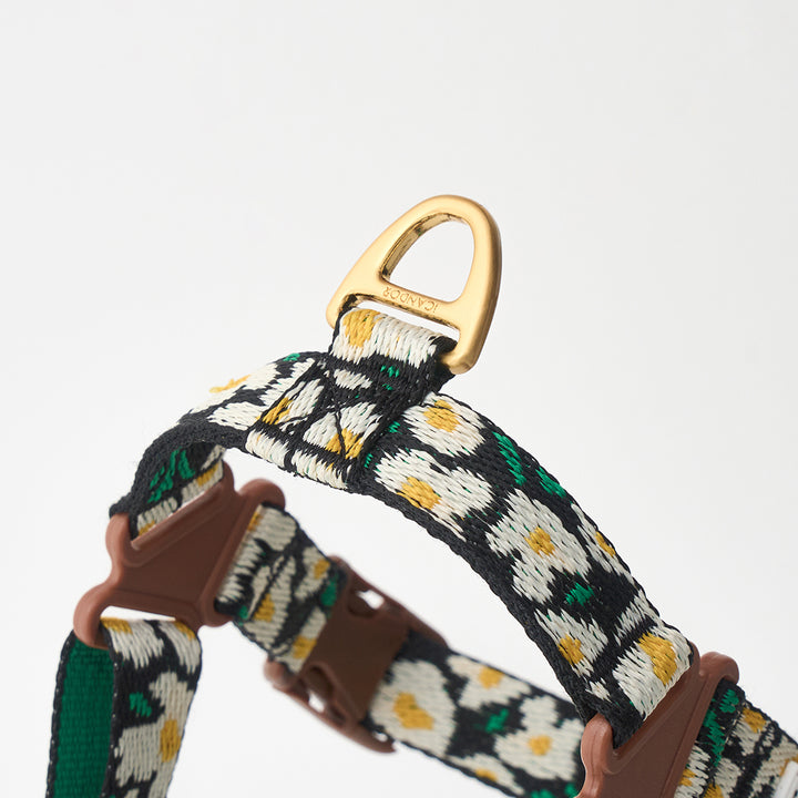 No-Pull Harness_Big Fish