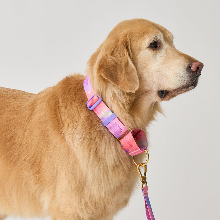 Smooth Martingale Collar 38mm_Milky Way