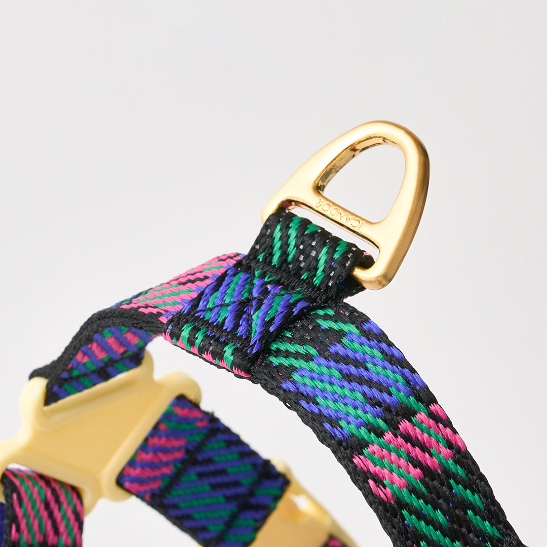 No-Pull Harness_Urban Checks