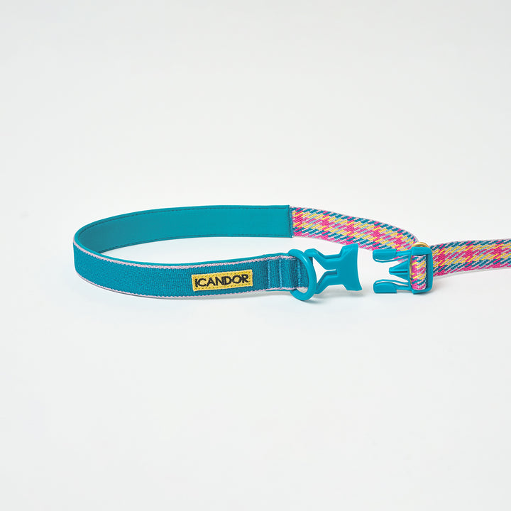 Gentle Leash Bolt_Edinburgh Check