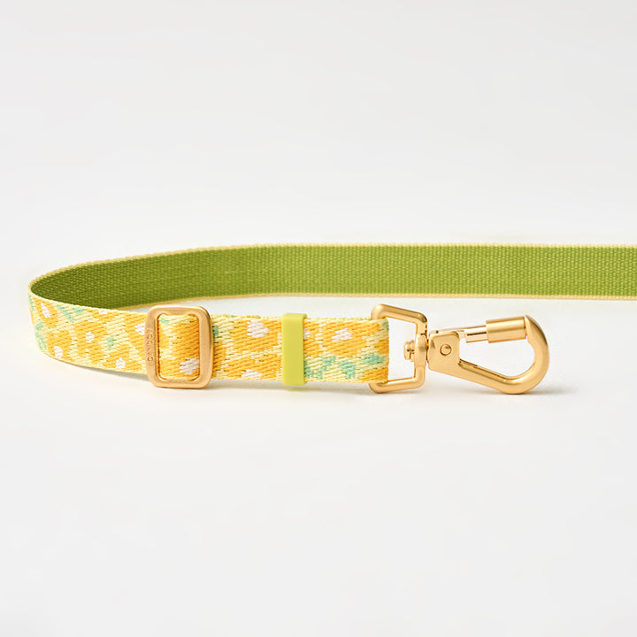 Gentle Leash Bolt, Long_Big Fish Yellow